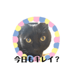 ジジとモモ（個別スタンプ：8）