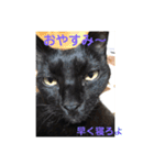 ジジとモモ（個別スタンプ：9）