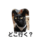 ジジとモモ（個別スタンプ：10）