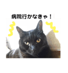 ジジとモモ（個別スタンプ：12）