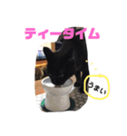 ジジとモモ（個別スタンプ：13）
