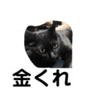 ジジとモモ（個別スタンプ：14）