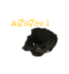 なま＆むぎ（個別スタンプ：4）