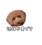 なま＆むぎ（個別スタンプ：5）