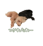 なま＆むぎ（個別スタンプ：7）