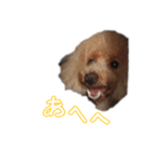 なま＆むぎ（個別スタンプ：8）