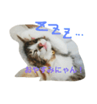 さしみ日常会話スタンプ（個別スタンプ：21）