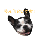 フレンチブルドッグのPENNYちゃん（個別スタンプ：2）