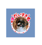 もりかわよう（個別スタンプ：5）