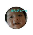 蒼大のスタンプ。（個別スタンプ：5）