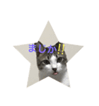 がんも。（個別スタンプ：4）