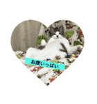 がんも。（個別スタンプ：6）