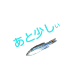 fishing牧場 3（個別スタンプ：2）