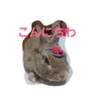 リリー＆ベルの日常（個別スタンプ：1）