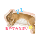 リリー＆ベルの日常（個別スタンプ：2）