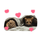 リリー＆ベルの日常（個別スタンプ：6）