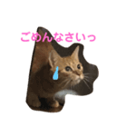 リリー＆ベルの日常（個別スタンプ：7）