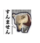 白いワンコの挨拶（個別スタンプ：9）