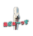白いワンコの挨拶（個別スタンプ：29）