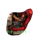 ♡三姉妹♡2 conisa（個別スタンプ：13）