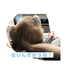 セーラー猫ぱく（個別スタンプ：4）