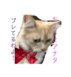 セーラー猫ぱく（個別スタンプ：8）