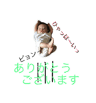 りっ君3ヵ月（個別スタンプ：3）