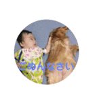 老犬きなこ♀（個別スタンプ：11）