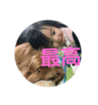 老犬きなこ♀（個別スタンプ：14）