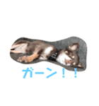 宝74（個別スタンプ：6）