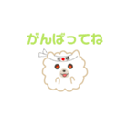 ポメラニアンのモコモコ（個別スタンプ：20）