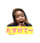 いちかこうま2（個別スタンプ：1）