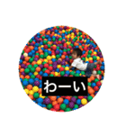 いちかこうま2（個別スタンプ：15）