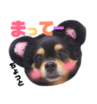 こうめちゃんのスタンプだよno3（個別スタンプ：1）