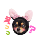 こうめちゃんのスタンプだよno3（個別スタンプ：10）
