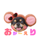 こうめちゃんのスタンプだよno3（個別スタンプ：11）