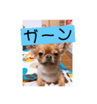 私のチャッピー（個別スタンプ：8）