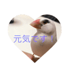 私のチャッピー（個別スタンプ：14）