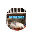 私のチャッピー（個別スタンプ：20）