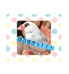 私のチャッピー（個別スタンプ：23）