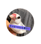 私のチャッピー（個別スタンプ：24）
