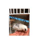 私のチャッピー（個別スタンプ：32）