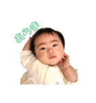 おじ顔たっすー（個別スタンプ：10）