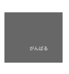 gray.（個別スタンプ：22）