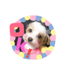 堀井さくらちゃん（個別スタンプ：1）