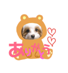堀井さくらちゃん（個別スタンプ：2）