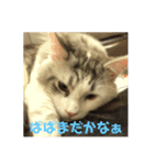 漣太郎（個別スタンプ：3）
