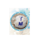 白柴こむぎの了解（個別スタンプ：10）