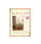白柴こむぎの了解（個別スタンプ：13）