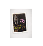 白柴こむぎの了解（個別スタンプ：38）